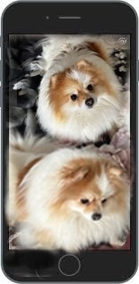 Sherley de la morinière